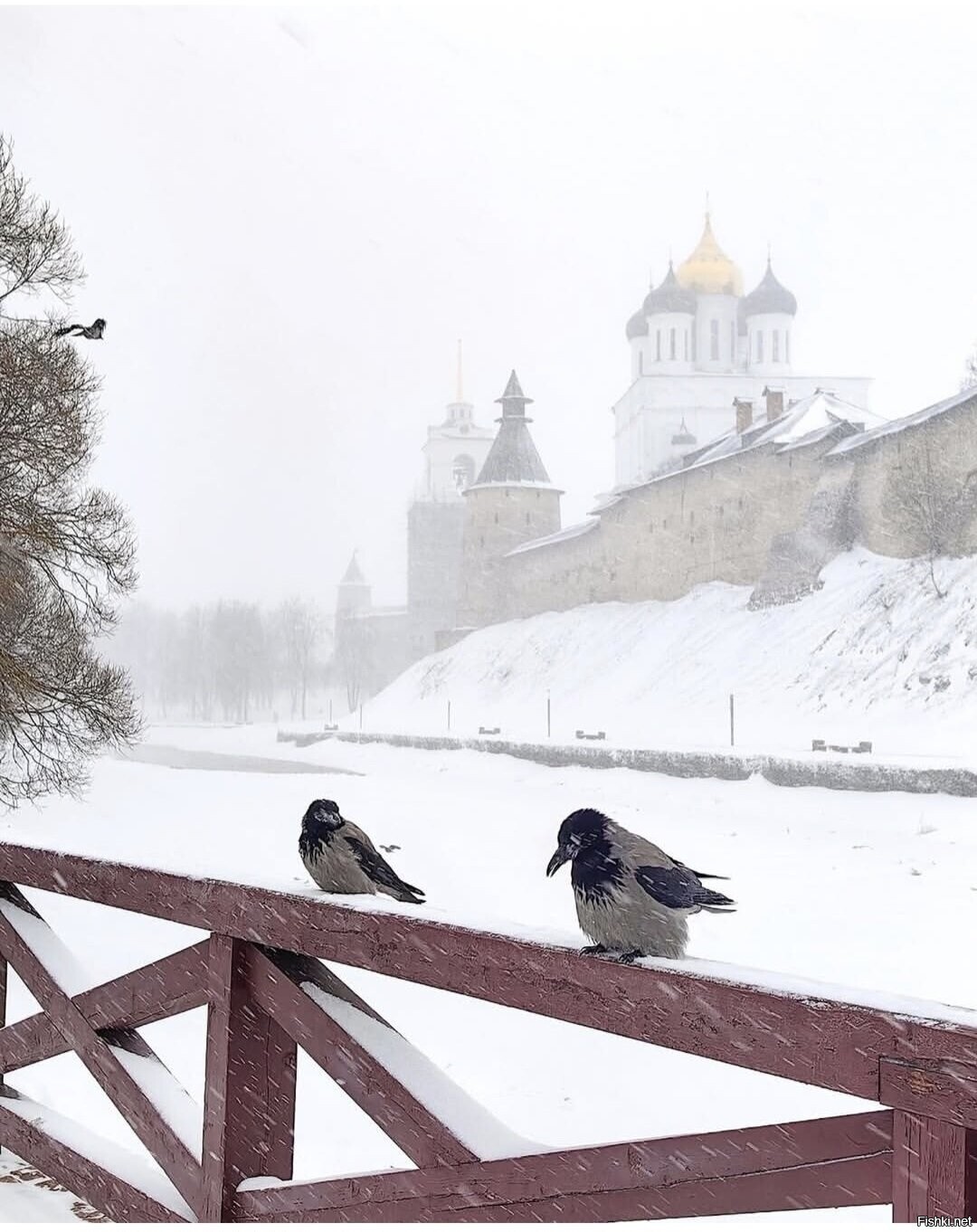 Солянка