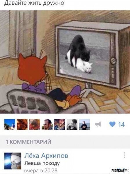 Солянка
