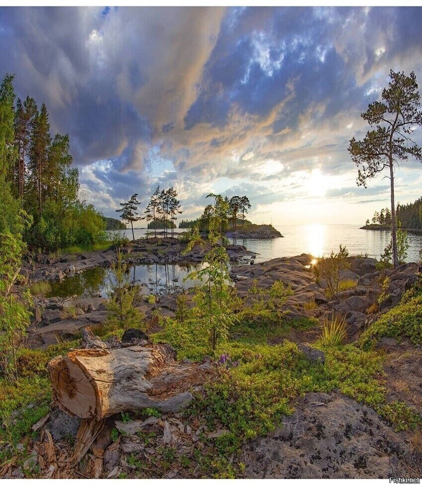 Солянка