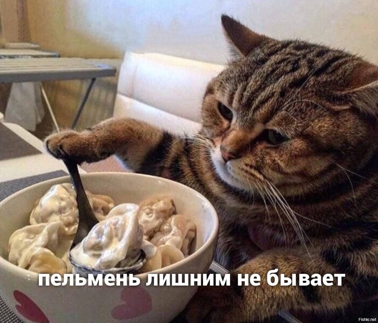 Сегодня празднуют День пельменей