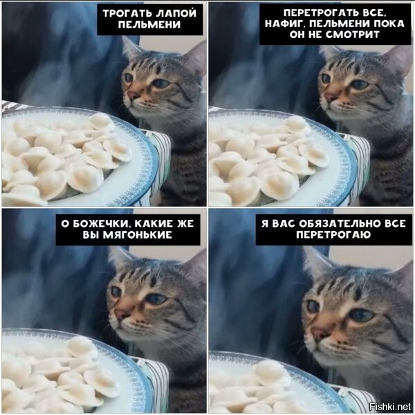 Доброе утро