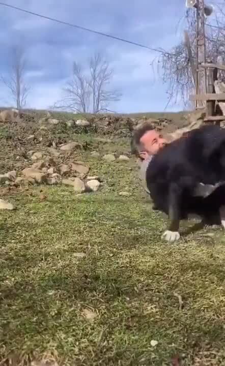 сиеста 