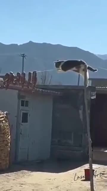 Миссия не