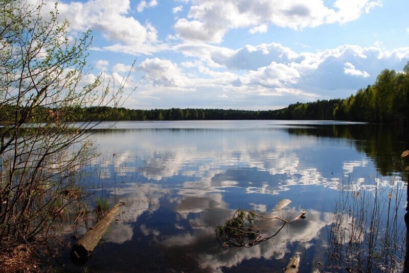 Легенда лесного озера. Марийский край