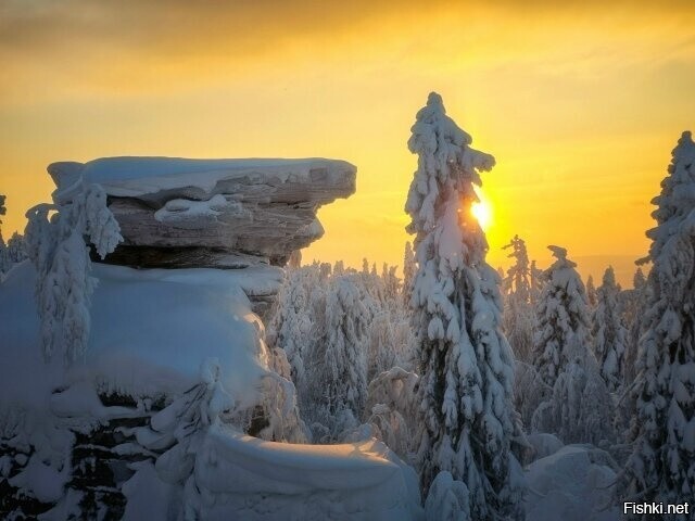 Солянка