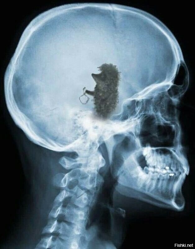 Солянка