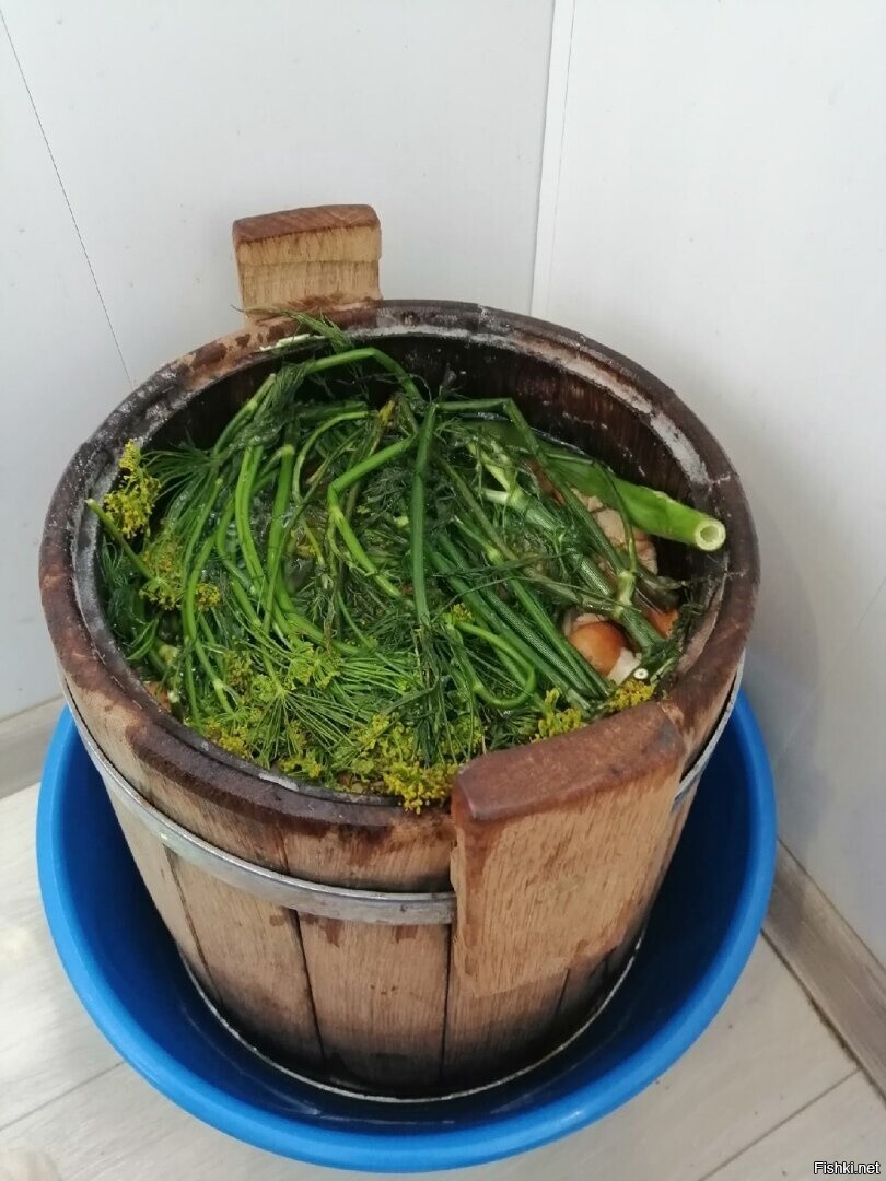 Солянка