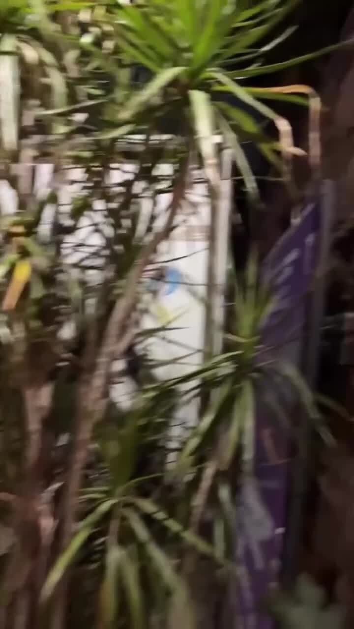 А что у вас тут происходит