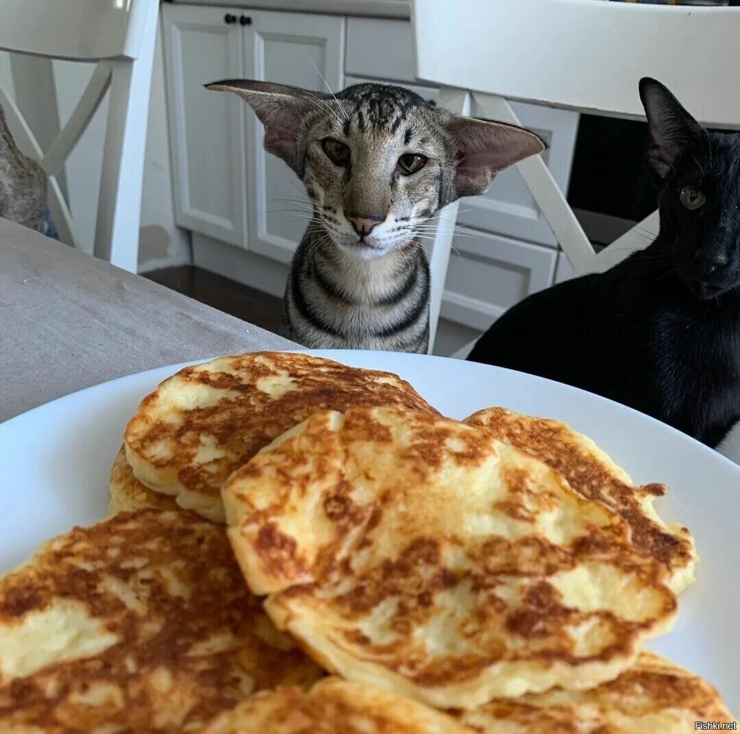 Доброе утро