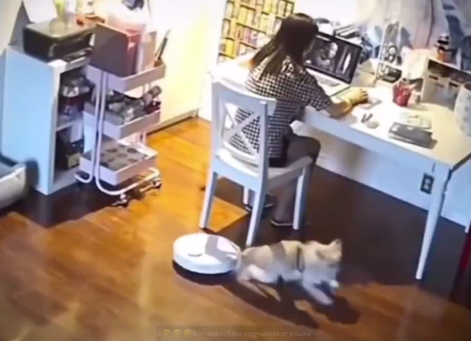 Реакция на пылесос