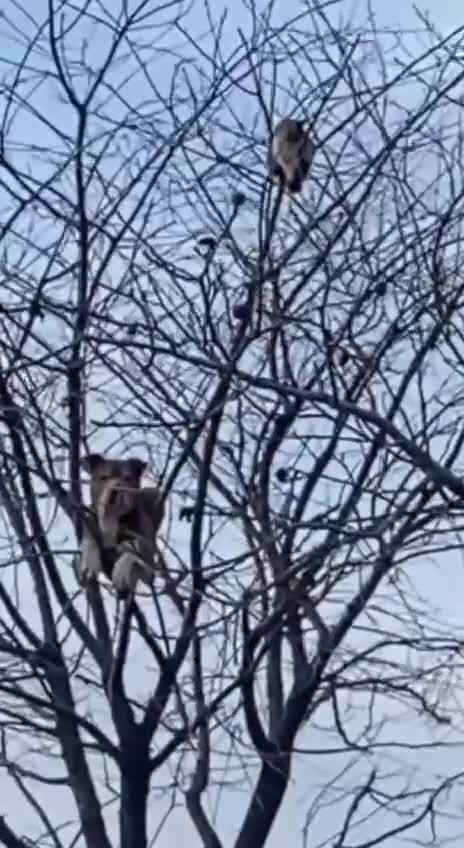 В одном из дворов Красноярска