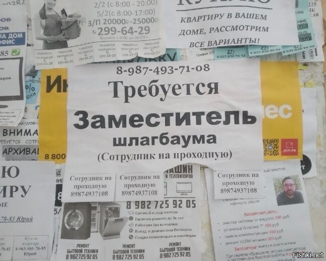 Солянка