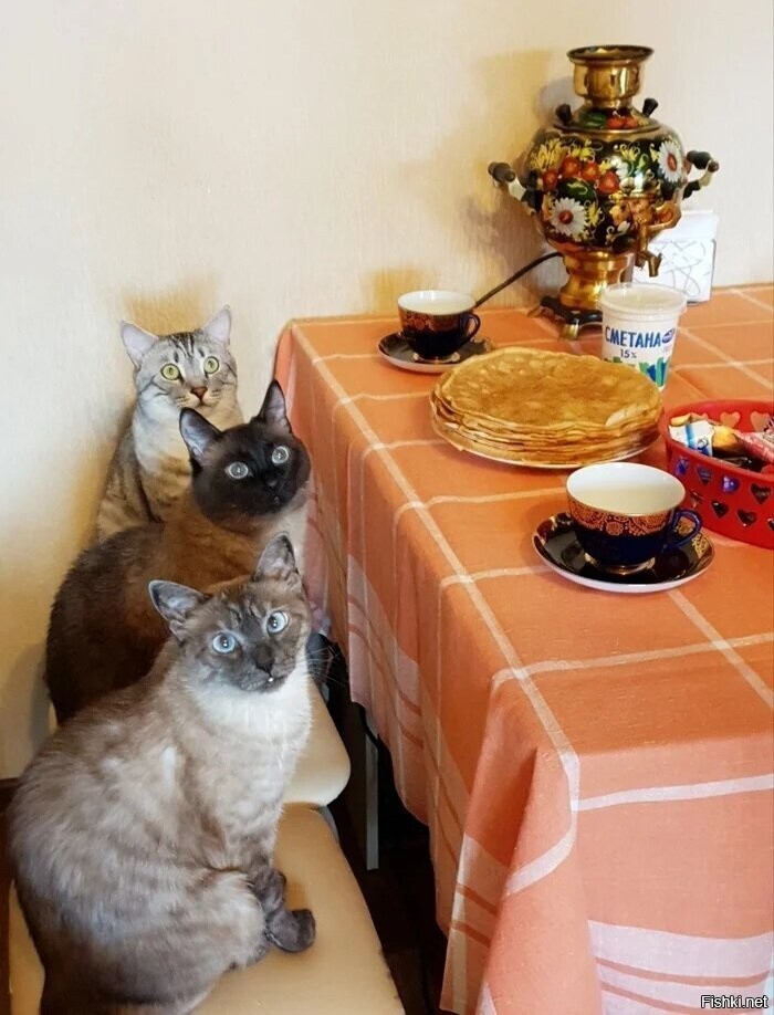 Доброе утро