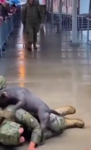 Своего хозяина всегда узнает 