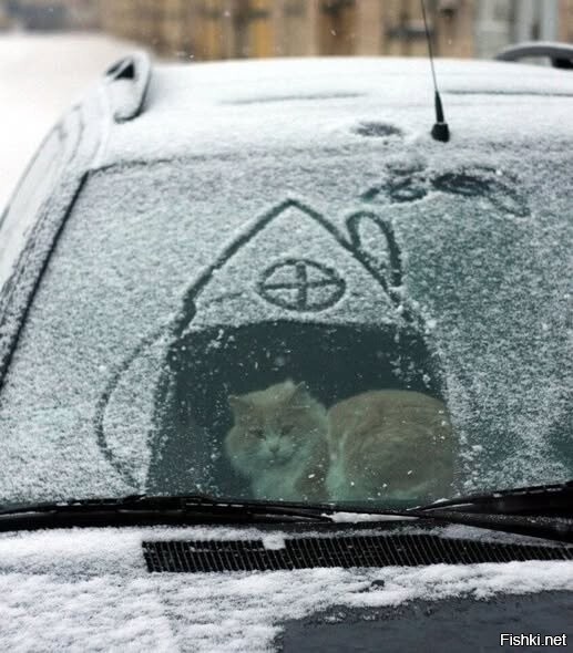 Я в автодомике