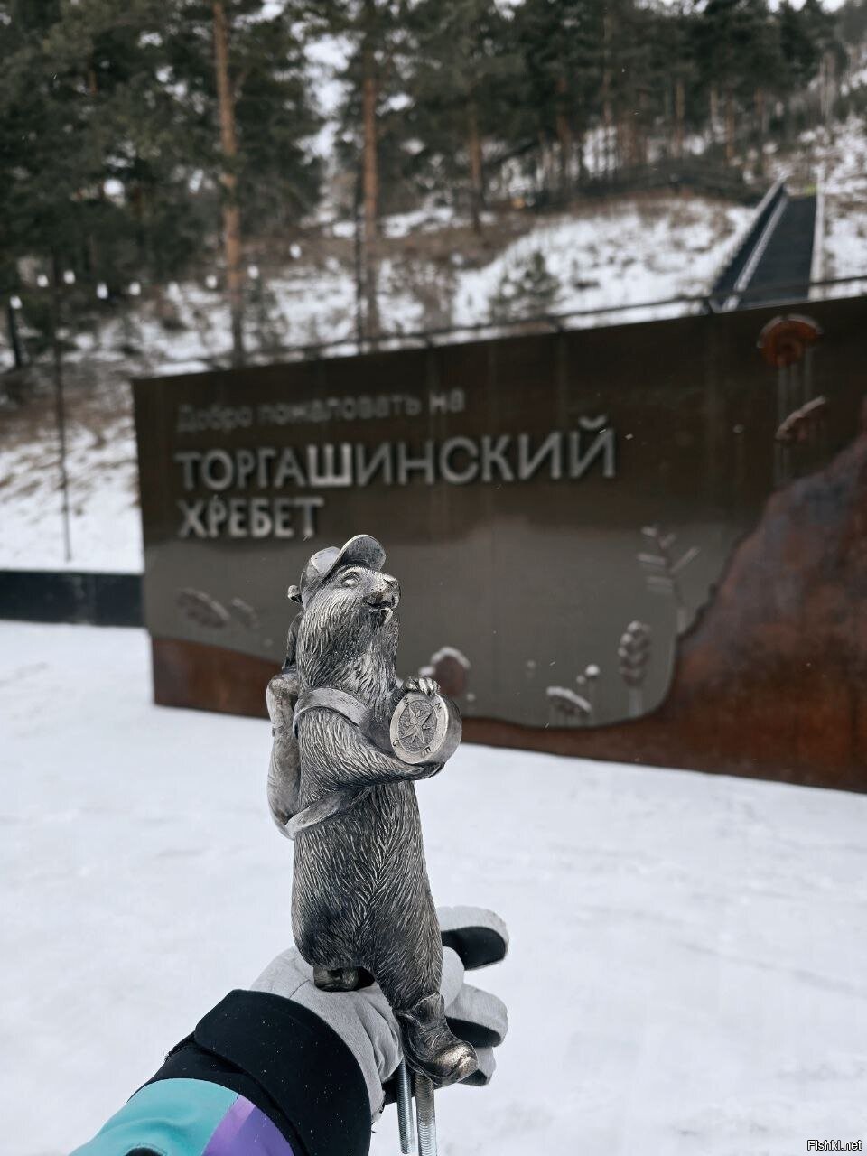 Солянка