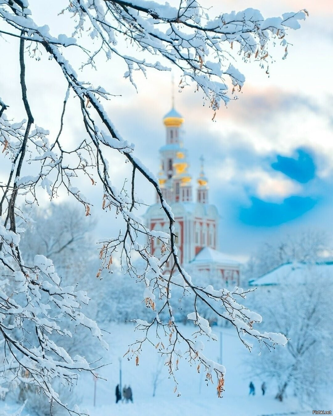 Солянка