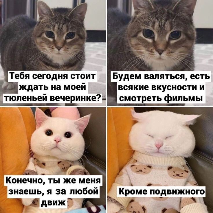 Весëлые картинки