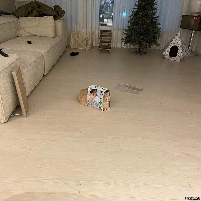 Солянка