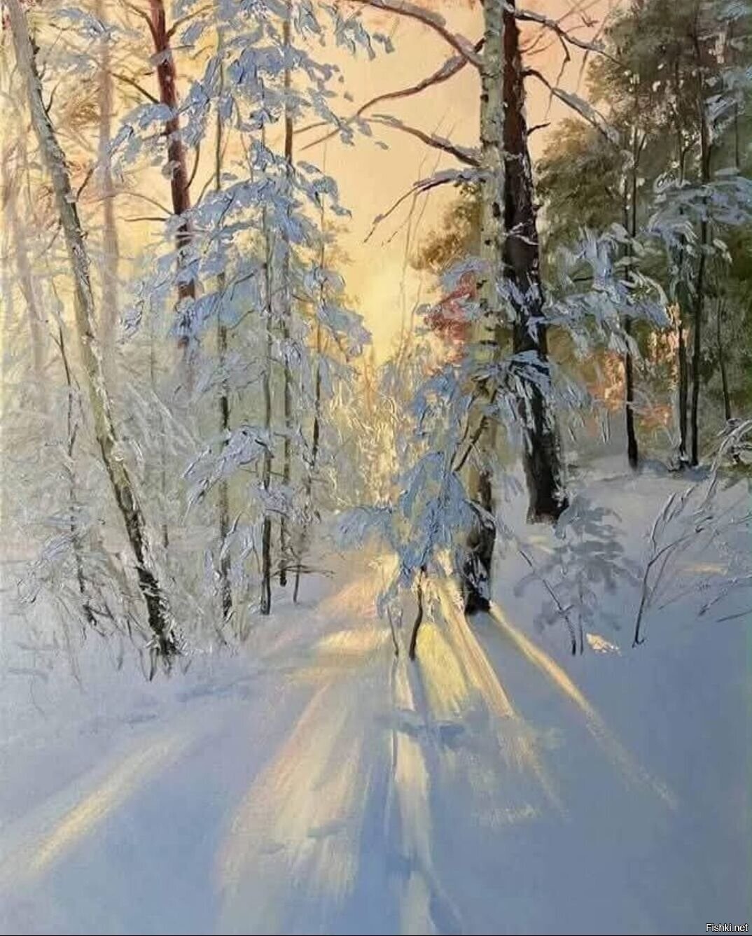 Солянка