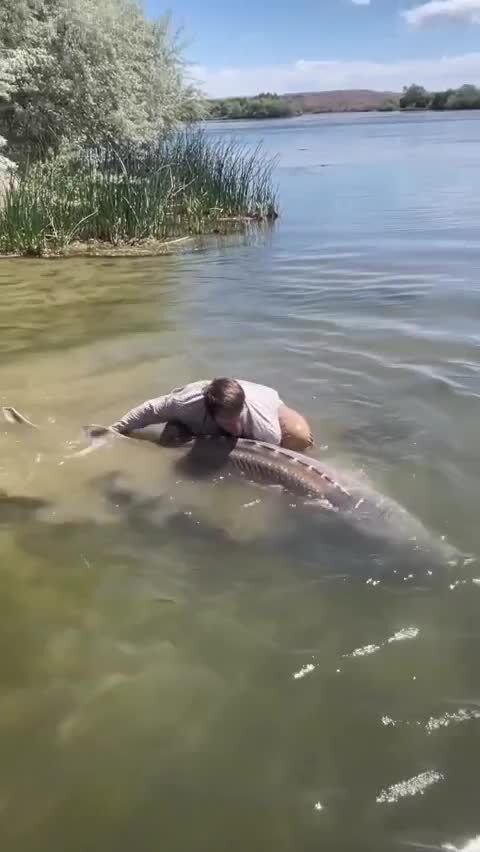Улов мечты 