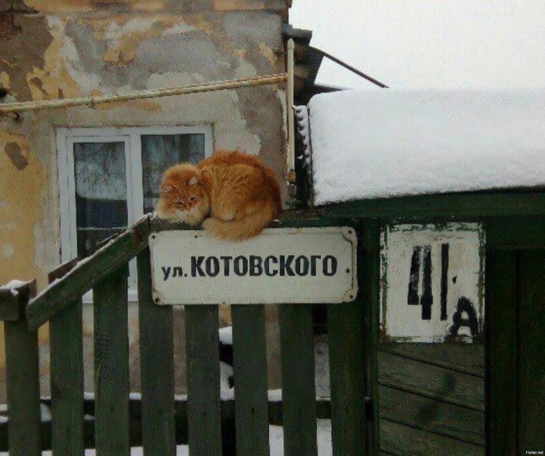 Солянка
