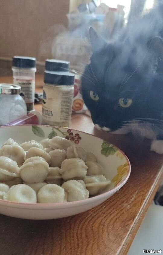 Солянка