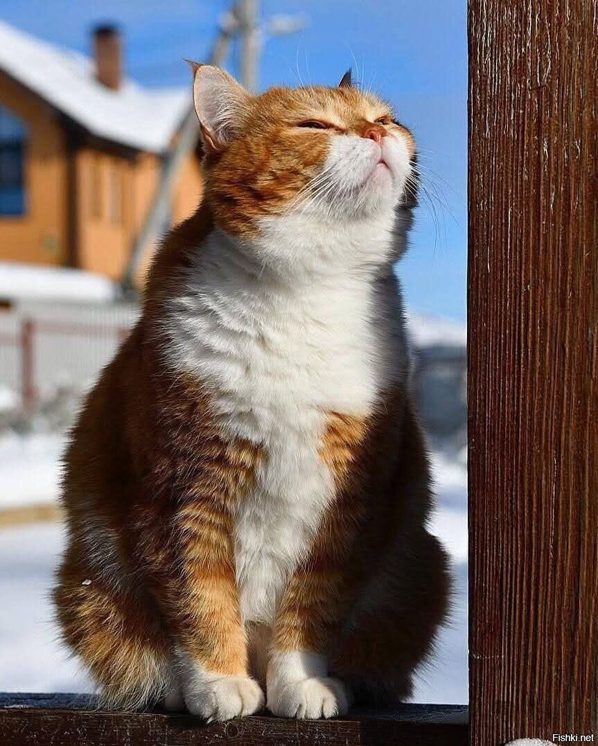 Скоро весна