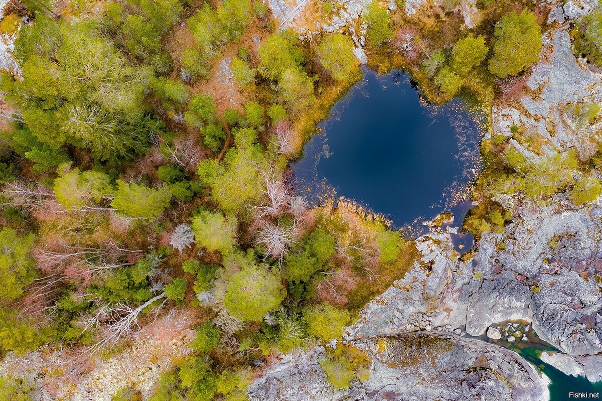 Солянка