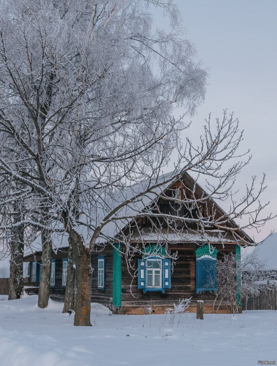Солянка