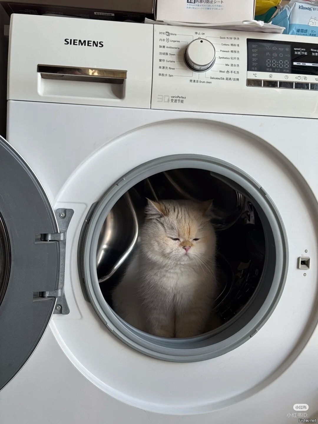 Солянка