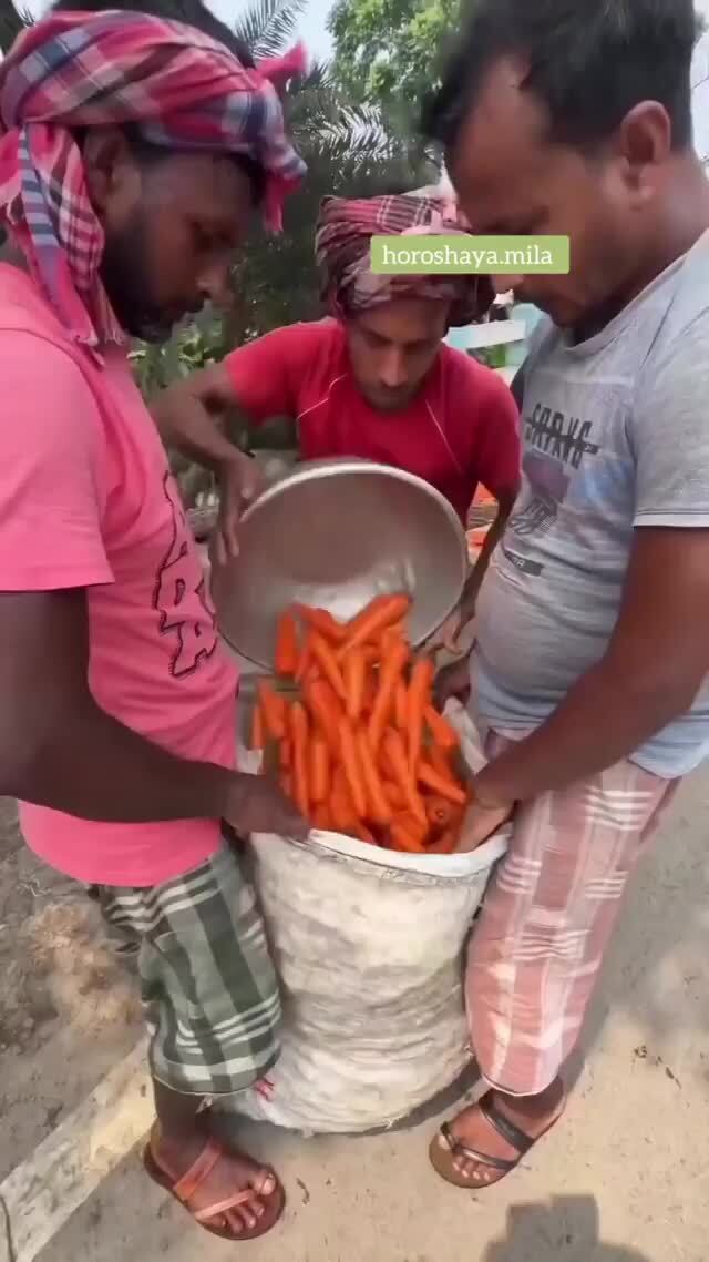 Морковь мытая 
