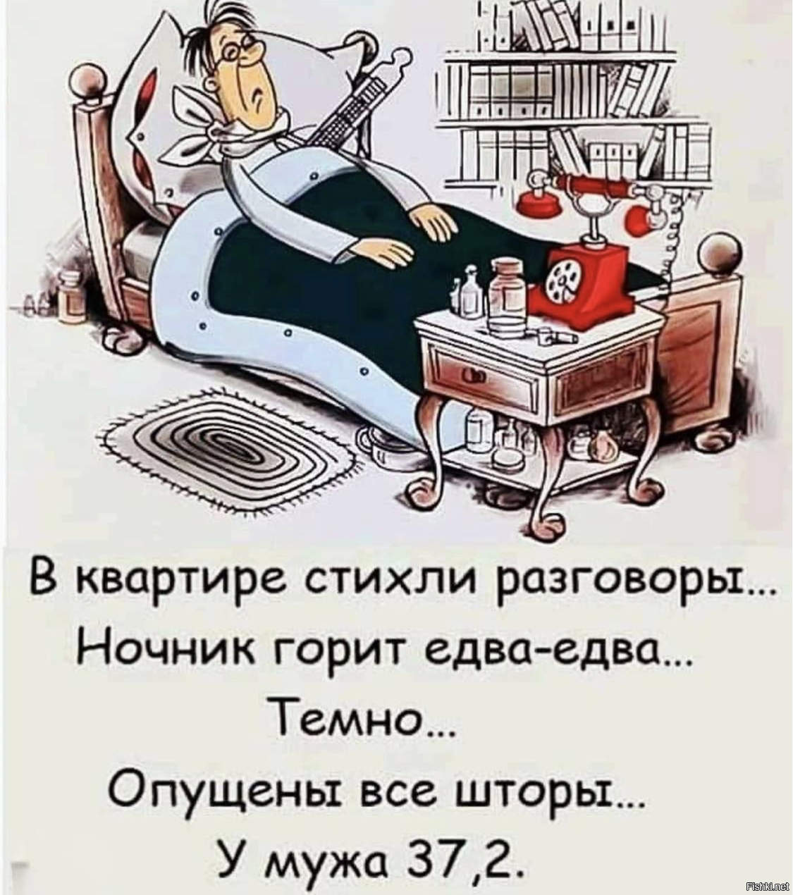 Солянка