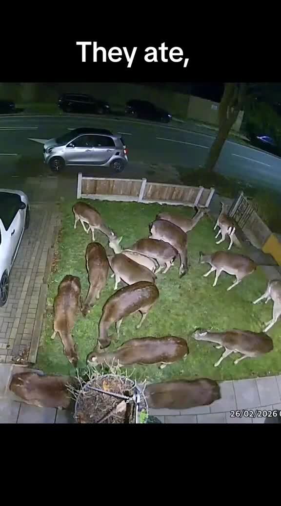 Покосили, удобрили