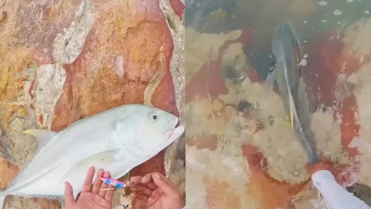 Рыбак хотел отпустить улов, но всё пошло не по плану