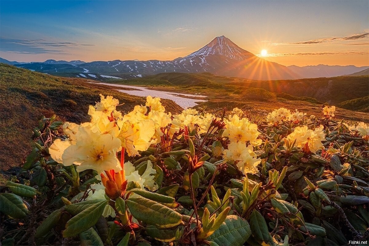 Камчатка