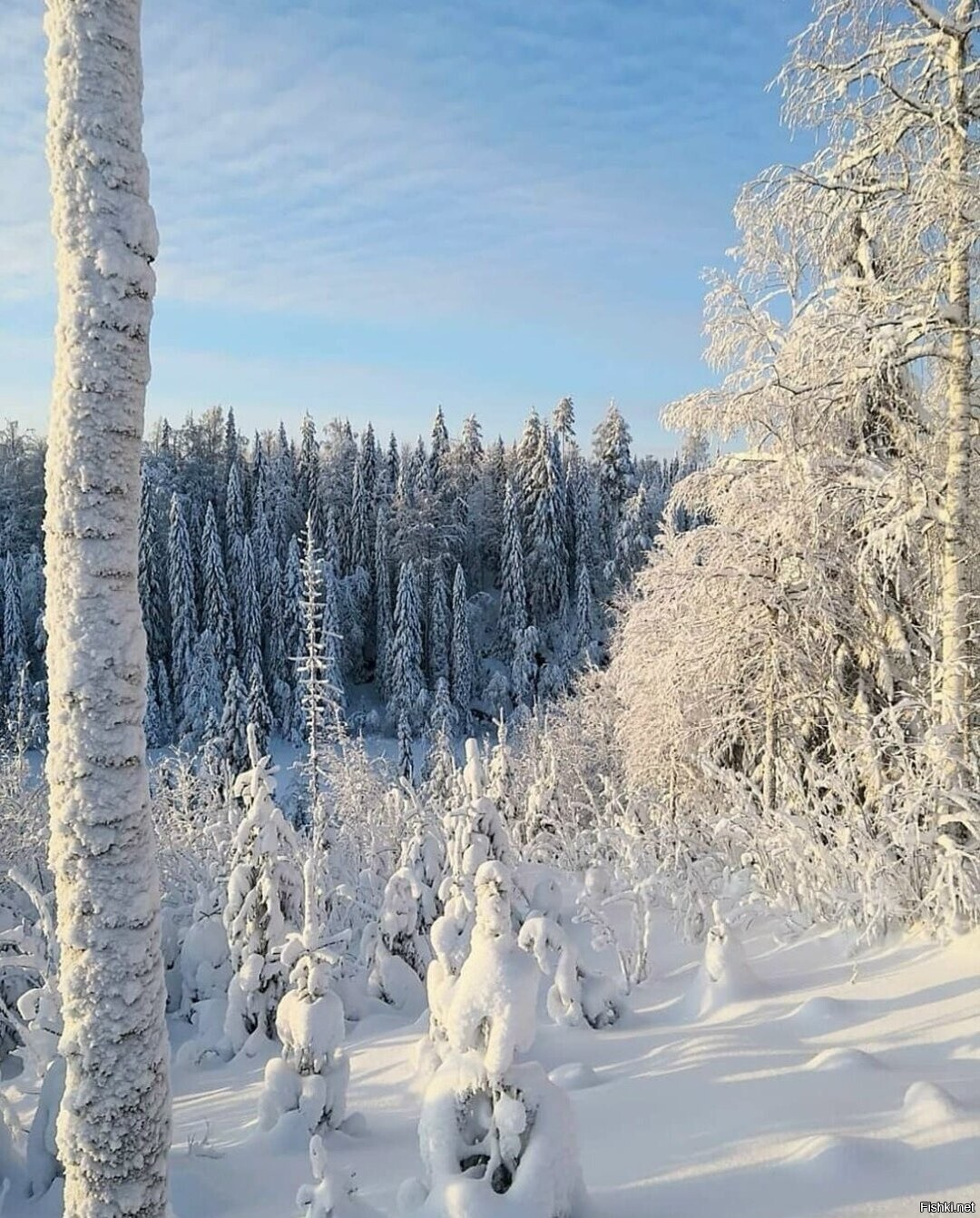 Солянка