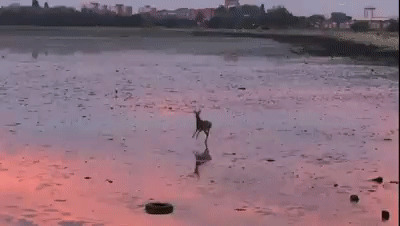 Пятницооо