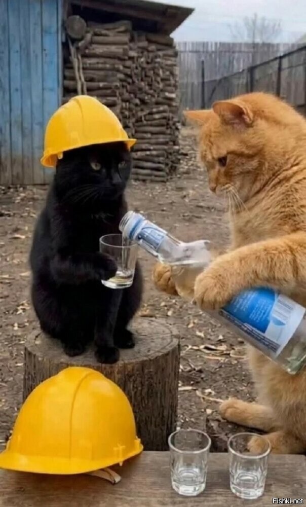 Пятницаааа