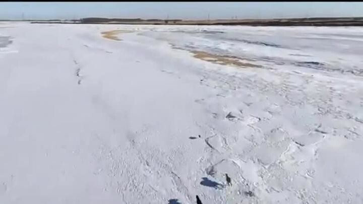 Солянка