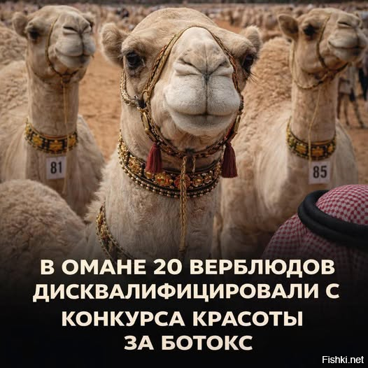 Как скучно я живу