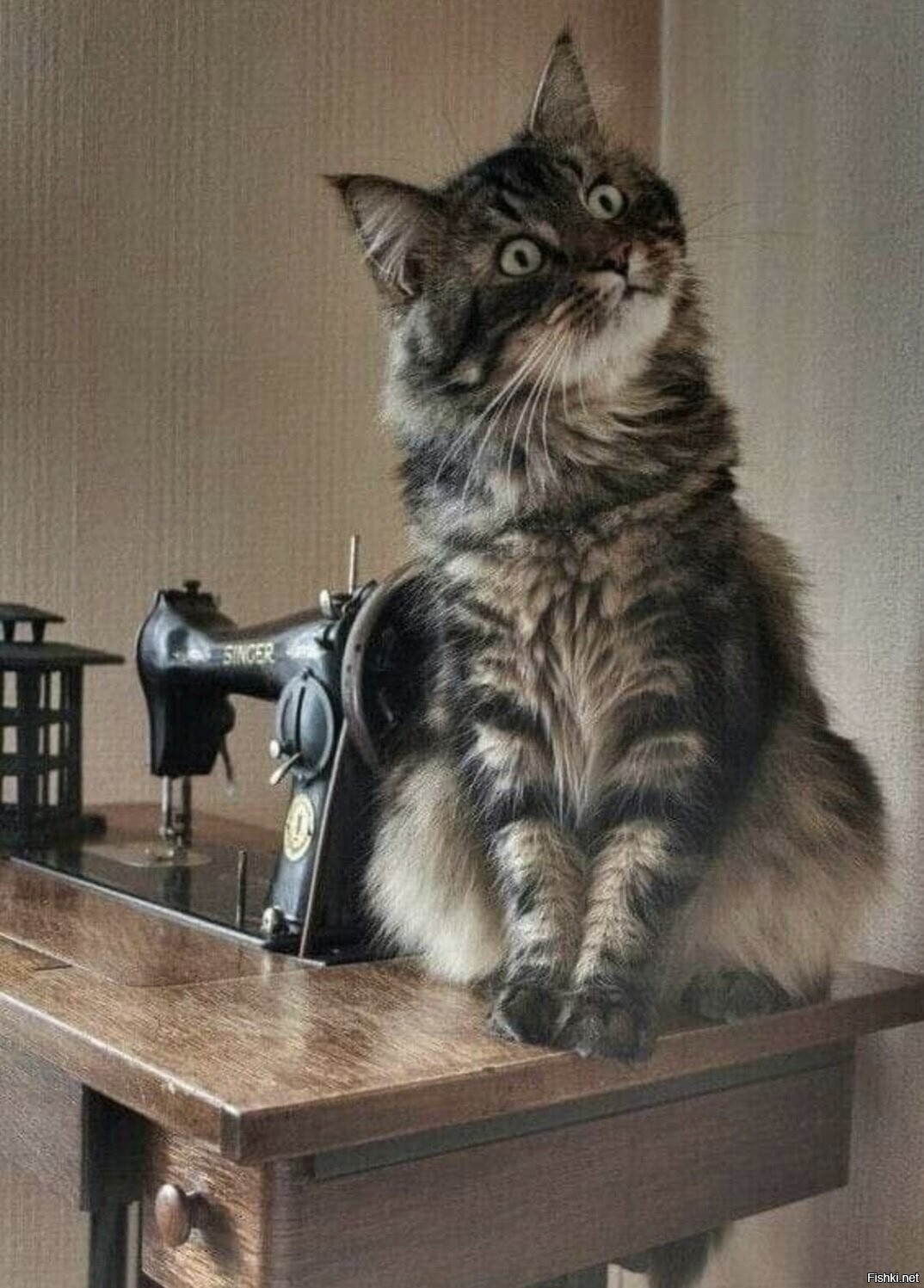 Доброе утро