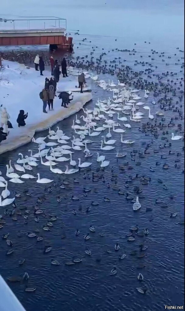 Все на завтрак 