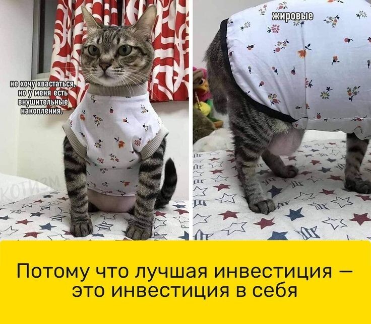 Весëлые картинки