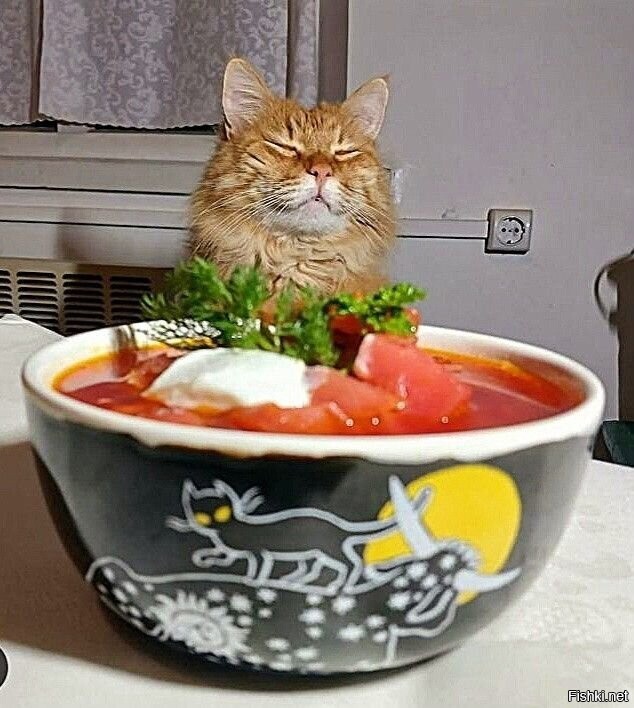 Солянка