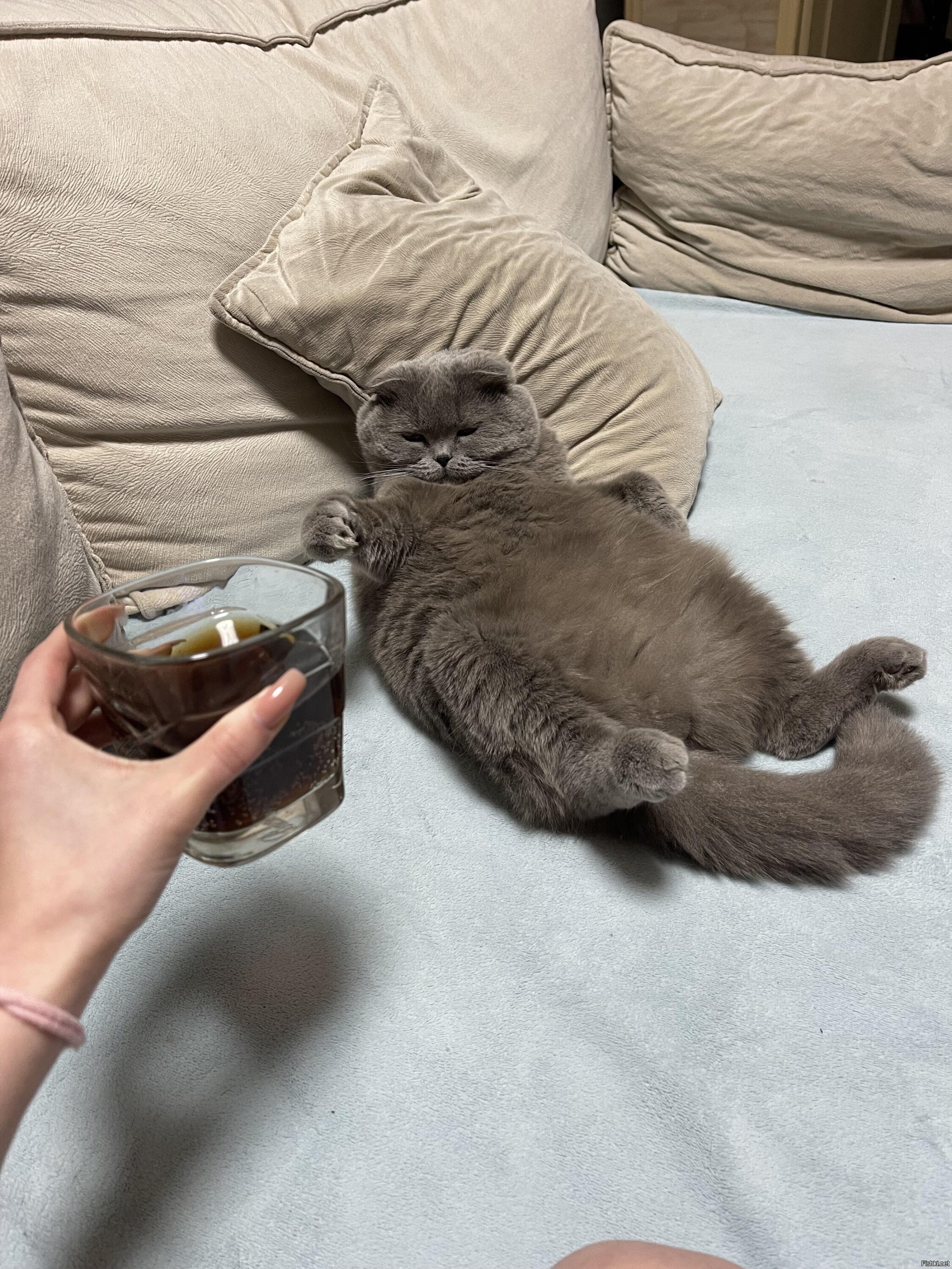 Солянка