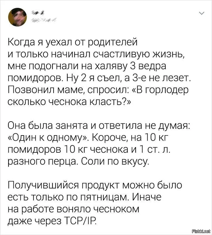Солянка