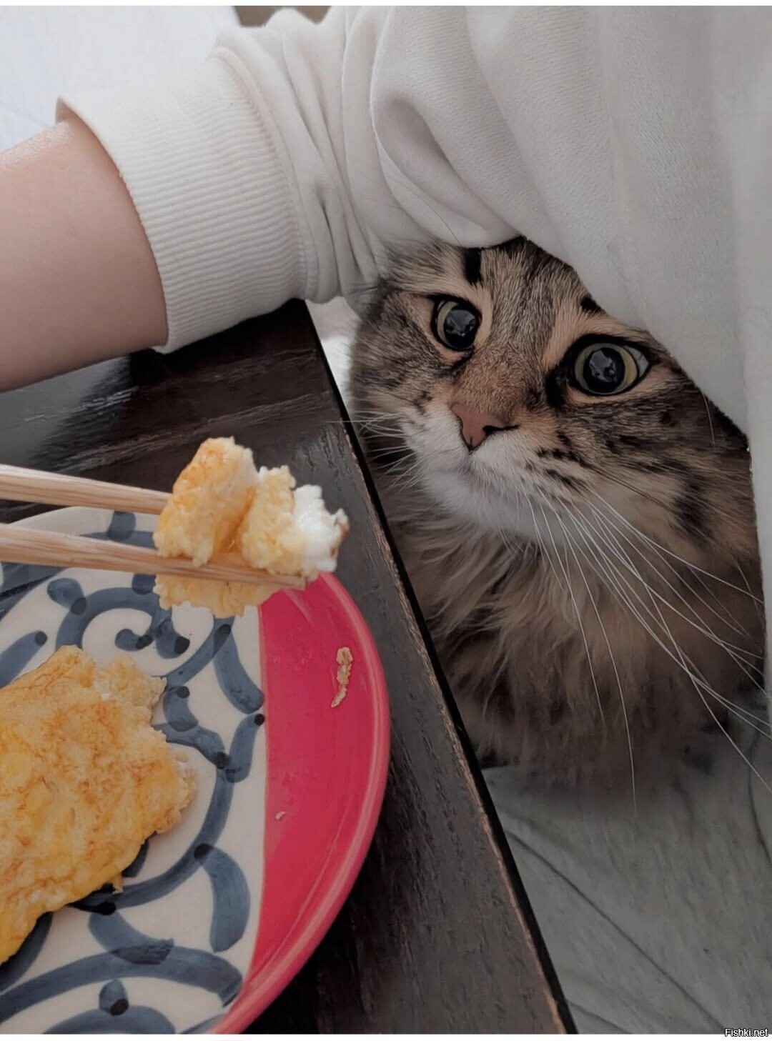 Солянка