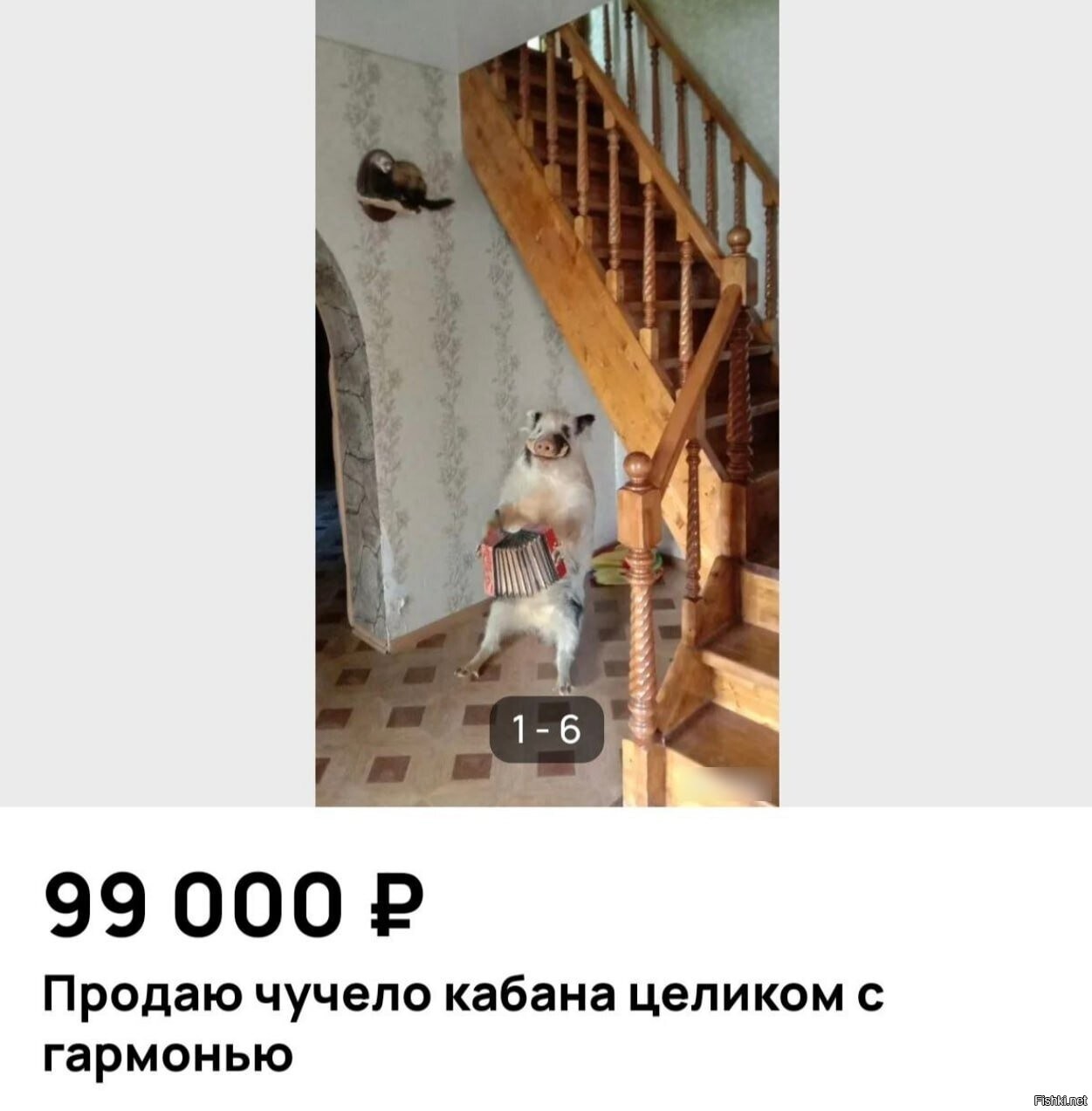 Солянка