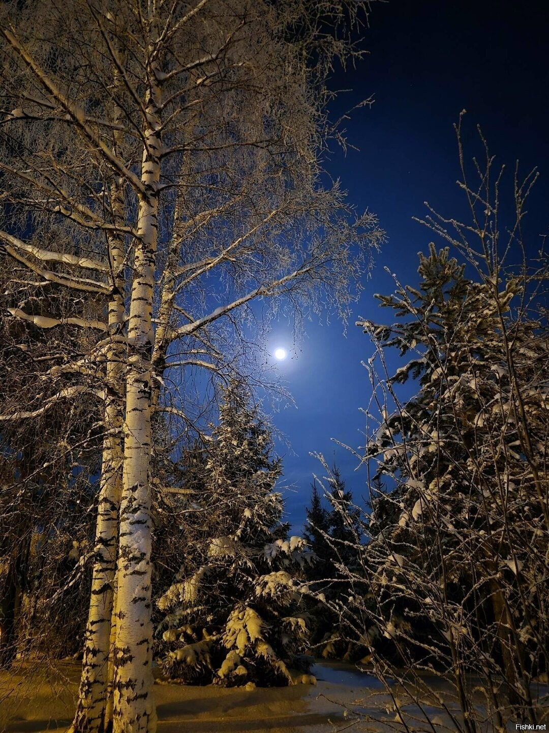 Солянка